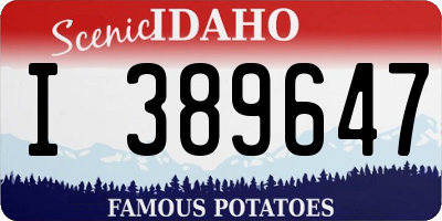 ID license plate I389647