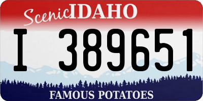 ID license plate I389651