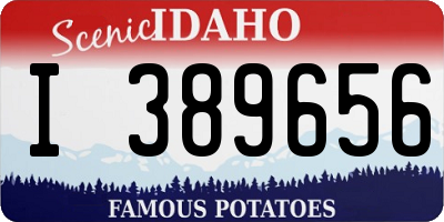 ID license plate I389656