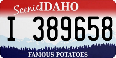 ID license plate I389658