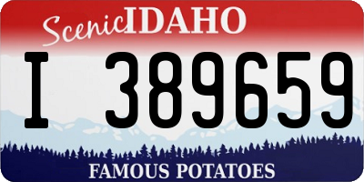 ID license plate I389659