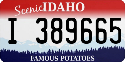 ID license plate I389665