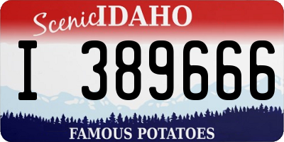 ID license plate I389666