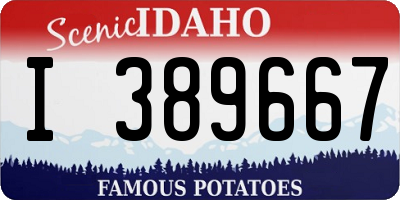 ID license plate I389667