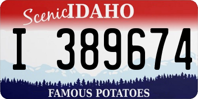 ID license plate I389674