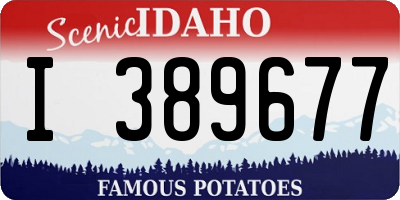 ID license plate I389677