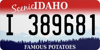 ID license plate I389681