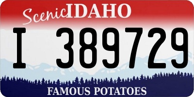 ID license plate I389729