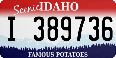 ID license plate I389736