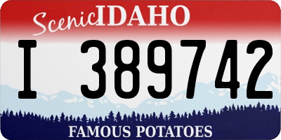 ID license plate I389742