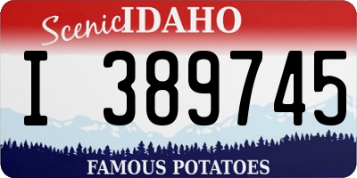 ID license plate I389745