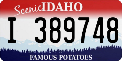 ID license plate I389748