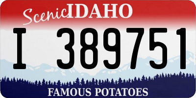 ID license plate I389751