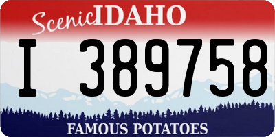 ID license plate I389758