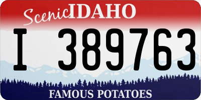 ID license plate I389763