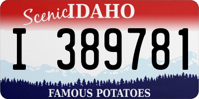 ID license plate I389781