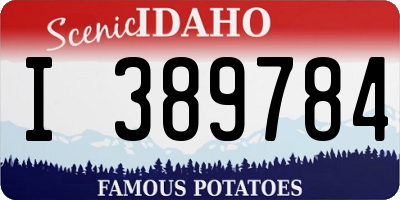 ID license plate I389784