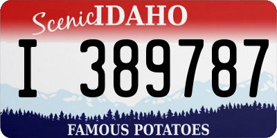 ID license plate I389787
