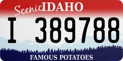 ID license plate I389788