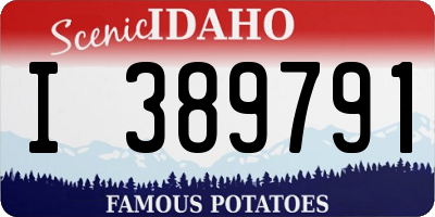 ID license plate I389791