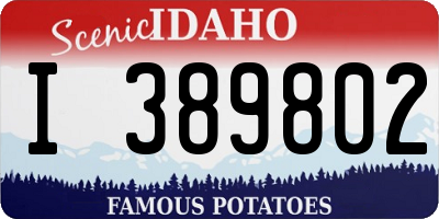 ID license plate I389802