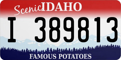 ID license plate I389813
