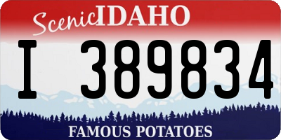 ID license plate I389834