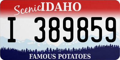 ID license plate I389859