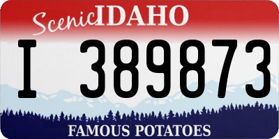 ID license plate I389873