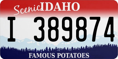 ID license plate I389874