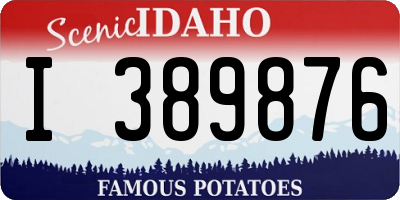 ID license plate I389876