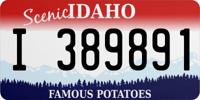 ID license plate I389891