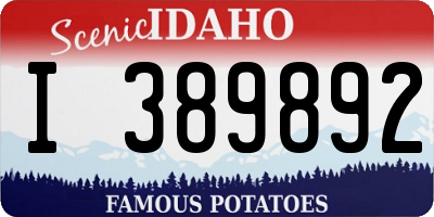 ID license plate I389892