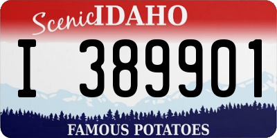 ID license plate I389901