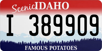 ID license plate I389909
