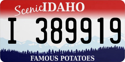 ID license plate I389919