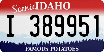 ID license plate I389951