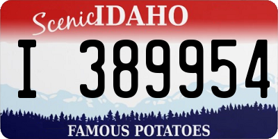ID license plate I389954