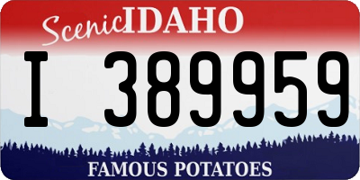 ID license plate I389959