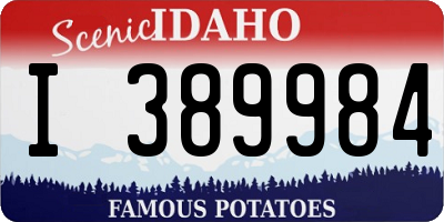 ID license plate I389984