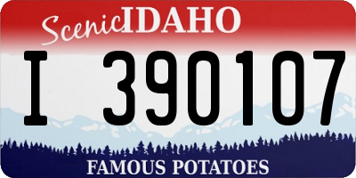 ID license plate I390107