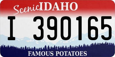 ID license plate I390165