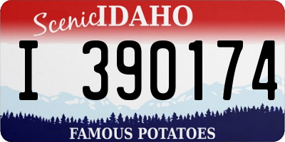 ID license plate I390174