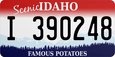 ID license plate I390248