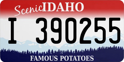 ID license plate I390255