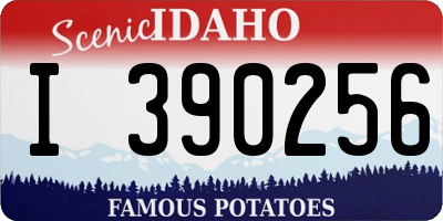 ID license plate I390256