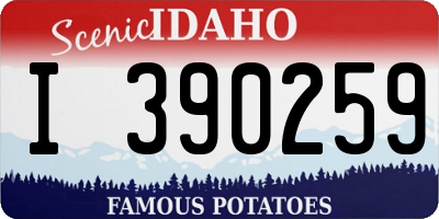 ID license plate I390259