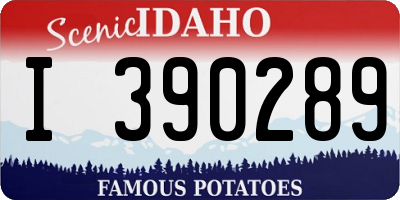 ID license plate I390289