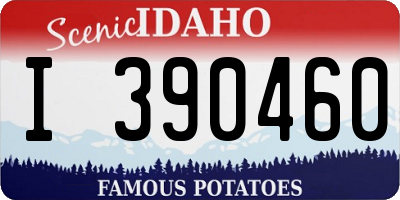 ID license plate I390460