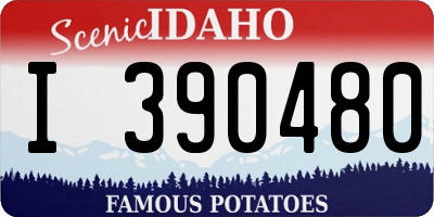 ID license plate I390480